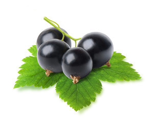 Black currant berries isolated