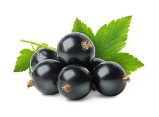Black currant berries isolated - obrazy, fototapety, plakaty