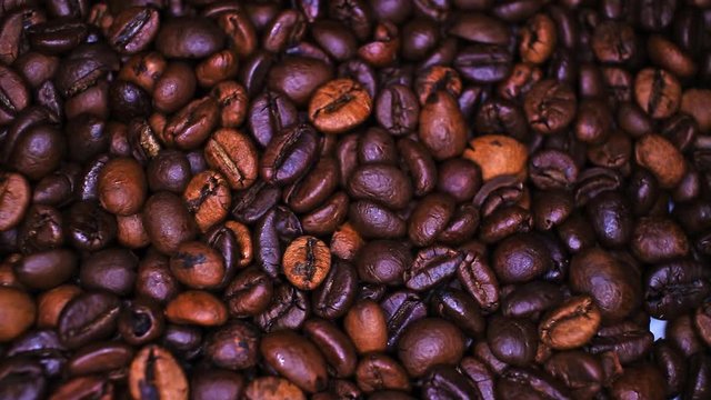 Coffee Beans Cofe Coffe Bean footage video on slow motion rotating rolling plate