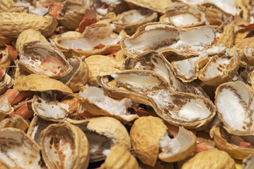 cracked shells of roasted peanuts