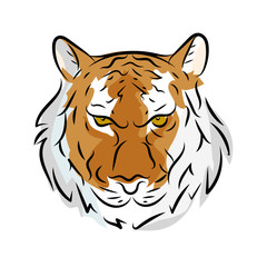 Tiger face hand drawn. Vector illustration.