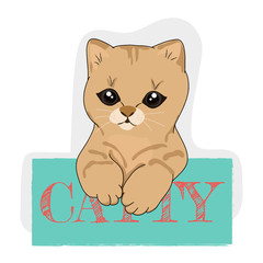 cute cat. Hand drawn. vector illustration.