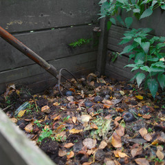 Hayfork and compost bin