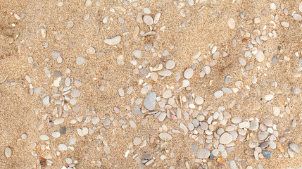Sandy beach ground with pebble