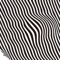 Abstract shading design. Zebra stripes, black and white.