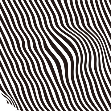 Abstract shading design. Zebra stripes, black and white. © fandijki