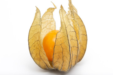 Physalis isolated on a white background. Healthy eating concept.