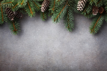Christmas background. Green fir tree branches with cones top view.