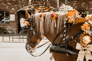 Horse-Drawn Carriage Leavenworth 