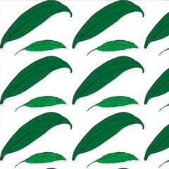 Beautiful seamless tropical jungle floral pattern background with palm leaves. seamless pattern with leaves