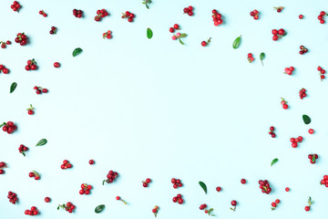 Colourful bright pattern made of natural berries on blue background. Top view. Summer red lingonberry pattern