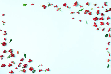 Colourful bright pattern made of natural berries on blue background. Top view. Summer red lingonberry pattern