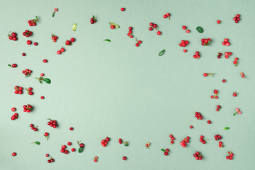 Colourful bright pattern made of natural berries on green background. Top view. Summer red lingonberry pattern