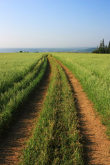 Obraz premium Country empty road in the field