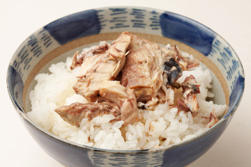鯖の水煮をのせたご飯