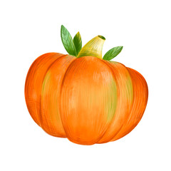 Cute halloween illustration. Hand drawn illustration