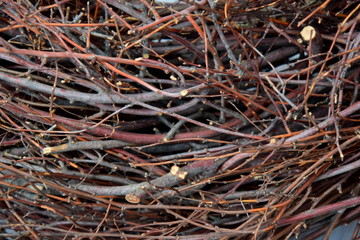 Reisig Äste Hintergrund und Textur