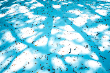 The tree shadow cast on the concrete floor . Shadow of tree on ground. Abstract and blur...