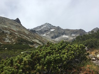 Fototapeta premium view of mountains
