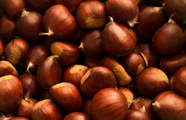 ripe raw chestnuts. Food background.