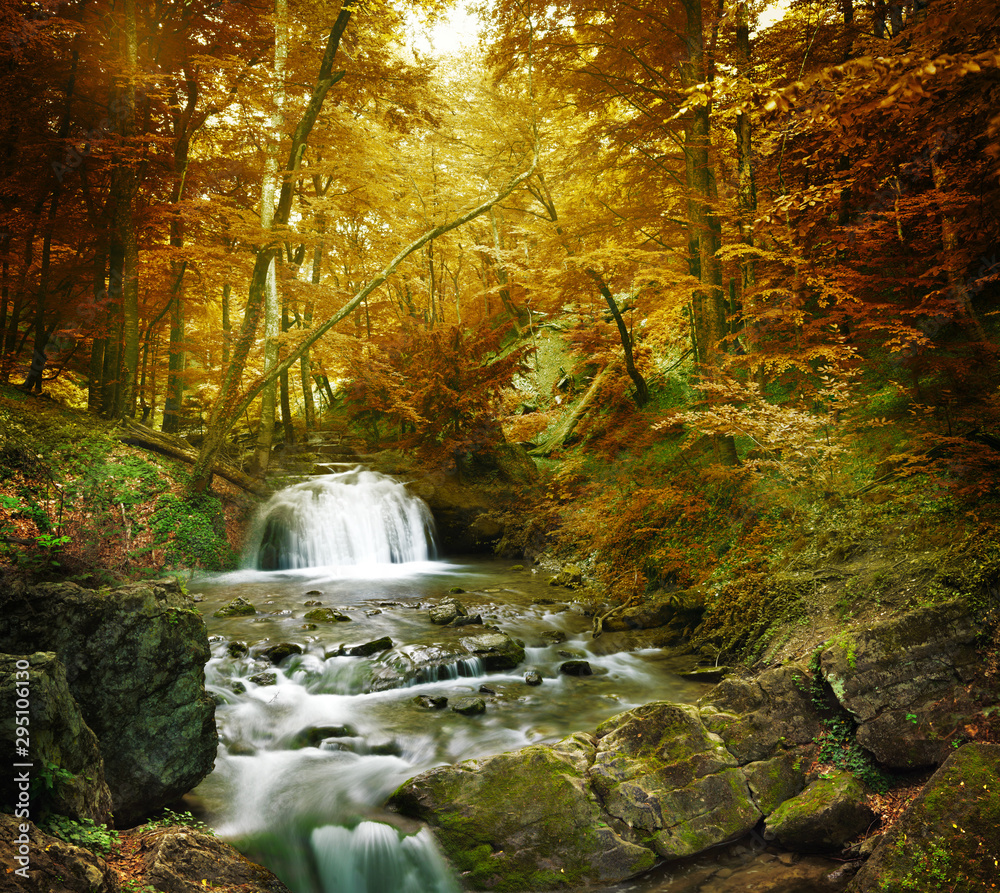 Wall mural forest waterfall