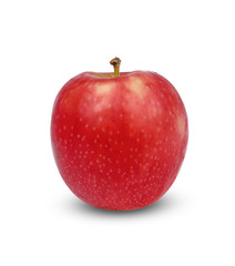 pink lady apples isolated on white background