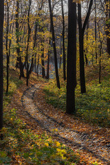 Obraz premium Old paved walkway through an autumn landscape park, Tsaritsyno park in Moscow, Russia