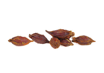 Dried gardenia fruit isolated on white background.