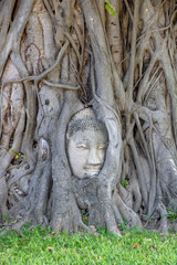The Buddha head is stuck in the root of the tree. Wat Mahathat Historical Park (Ayutthaya), Phra Nakhon Si Ayutthaya, Thailand