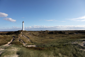 Fototapeta na wymiar Leuchtturm von Hvide Sande