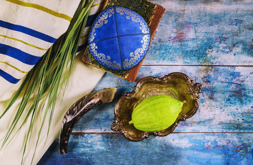Jewish ritual festival of Sukkot in the jewish religious symbol Etrog, lulav, hadas, arava tallit...