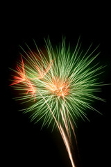 Colorful fireworks on the black sky background