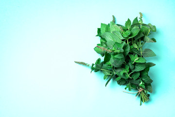 Fresh peppermint leaves on trendy green background. Top view. Copy space. Bunch of mint herbs