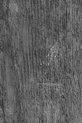 Texture of old wood door from mill, Black and White