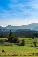 Fototapeta na wymiar Rural landscape near Tatra Mountains in Poland