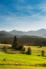 Obraz premium Tatra Mountain Range in Poland