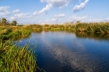 Narwiański Park Narodowy, Bokiny, Podlasie, Polska © podlaski49