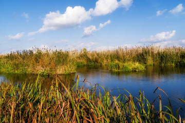 Narwiański Park Narodowy, Bokiny, Podlasie, Polska © podlaski49