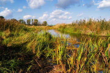 Narwiański Park Narodowy, Bokiny, Podlasie, Polska © podlaski49