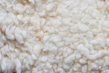 Fotobehang White soft wool background, natural sheepskin rug. © Melica