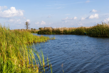 Narwiański Park Narodowy, Bokiny, Podlasie, Polska © podlaski49