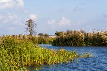 Narwiański Park Narodowy, Bokiny, Podlasie, Polska © podlaski49