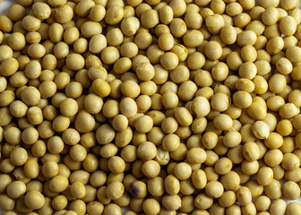 a pile of dried soybeans on white background