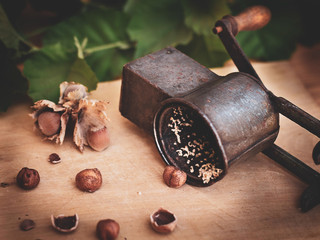 Old hazelnut grinder on wooden board