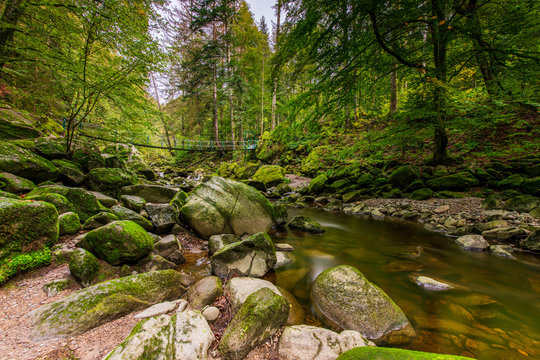 Wildbachklamm Buchberger Leite | Bayerischer Wald