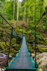 Brücke Wildbachklamm Buchberger Leite | Bayerischer Wald