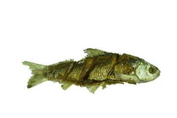 Foto op Aluminium deep fried salty mullet fish arranging on white background © pedphoto36pm