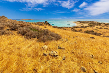 picturesque savannah with beautiful golden gtass , green bushes with beautiful turquoise sea , deep blue  sky with clouds and mountains on background, desert landscape