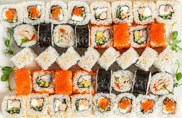 tasty sushi on the white background
