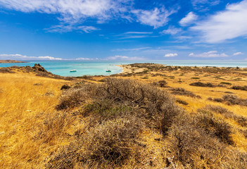 picturesque savannah with beautiful golden gtass , green bushes with beautiful turquoise sea , deep blue  sky with clouds and mountains on background, desert landscape